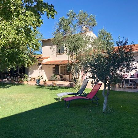 Villa Mas Du Pont De Laute Le Cailar Esterno foto