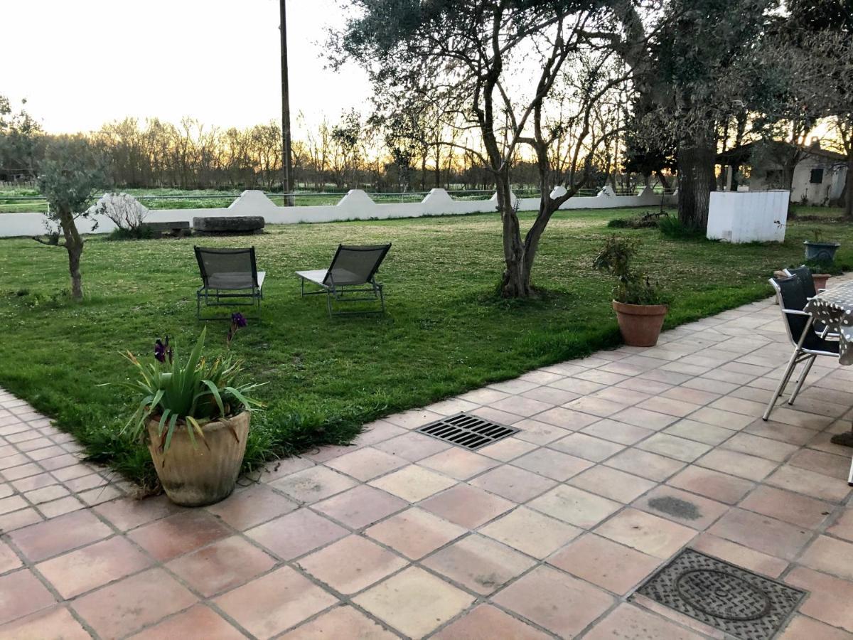 Villa Mas Du Pont De Laute Le Cailar Esterno foto